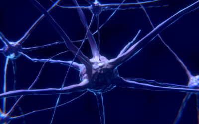 Neuralink – Opasan po javno zdravlje?