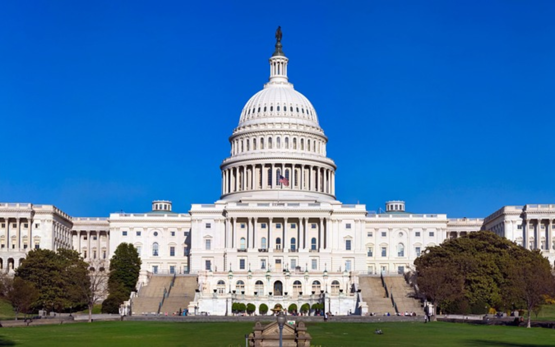 sad kongres, tiktok tuzba